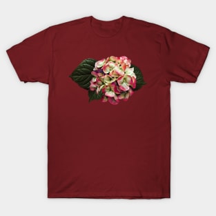 Hydrangeas - One Pink and White Hydrangea T-Shirt